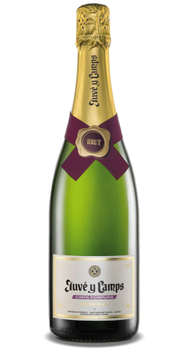 NV Cava Cinta Purpura Brut 375ml 1