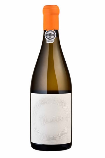 2018 Conceito Unico Branco 1